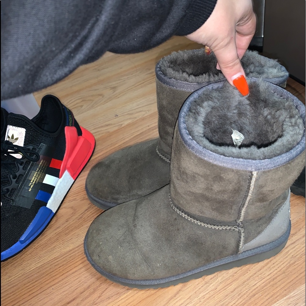 Gray uggs - Picture 3 of 7